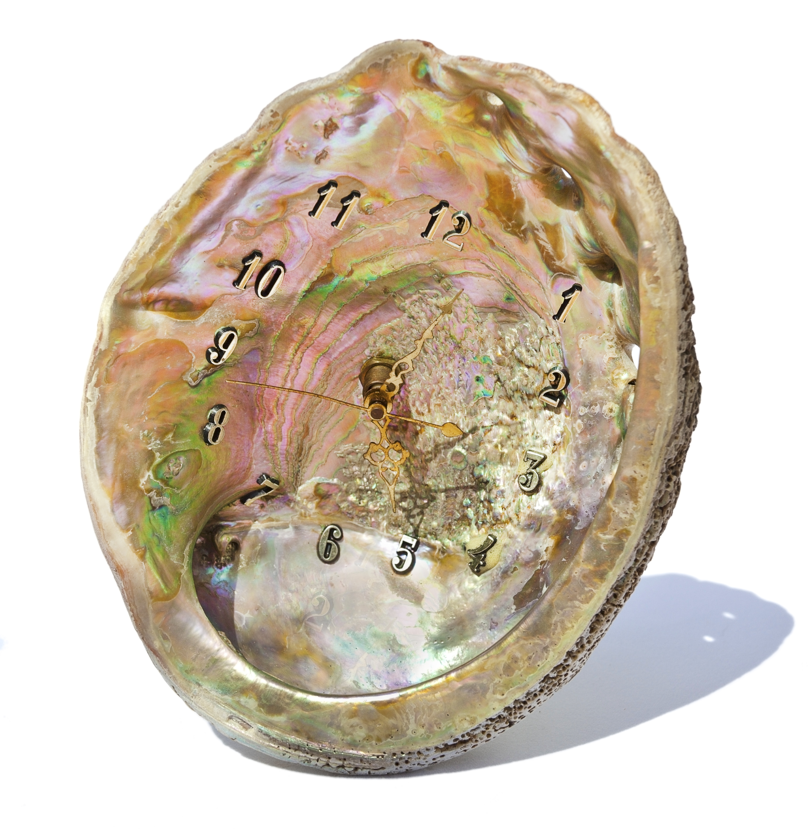 2017_abalone clock copy.jpg